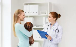 veterinarian-discussing-treatment-with-pet-owner-at-clinic
