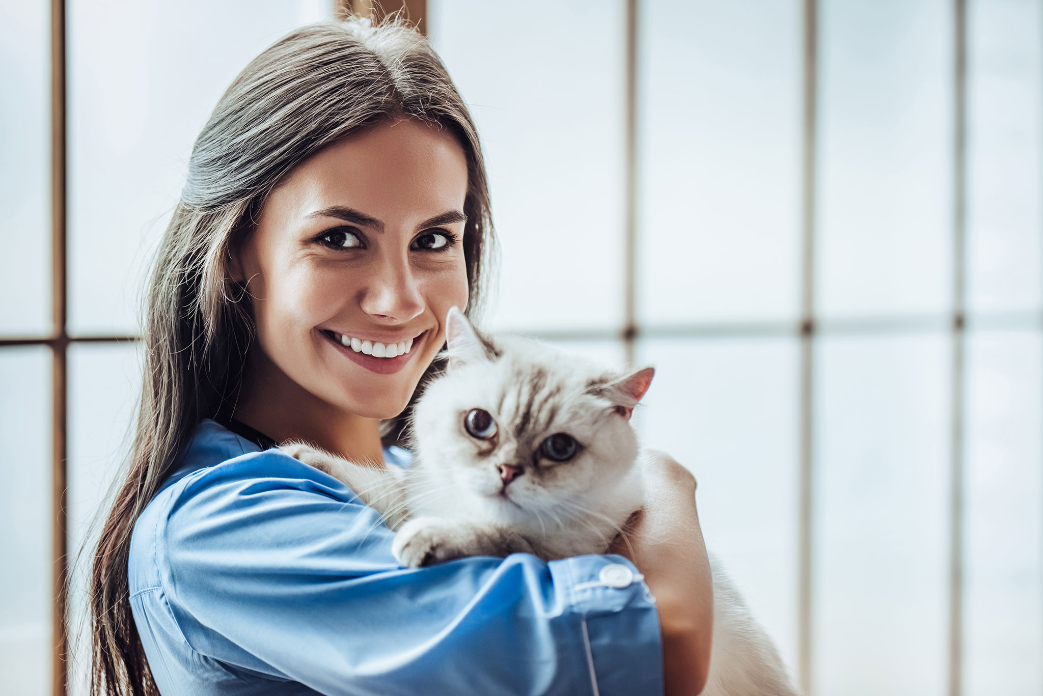 Veterinarian Holding Cat And Smiling