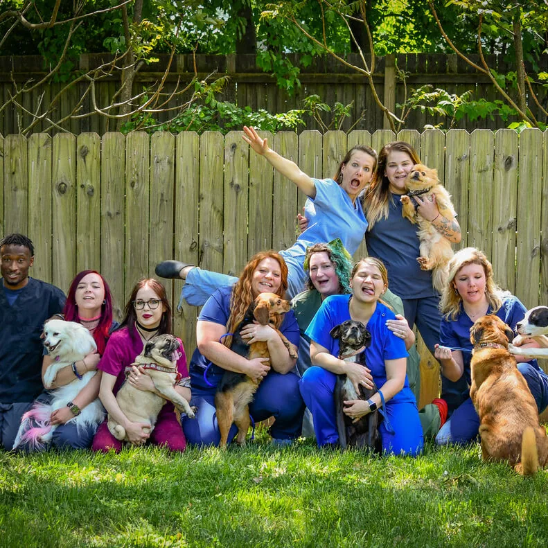 Stokesdale Vet Hospital Stokesdale Vet Hospital