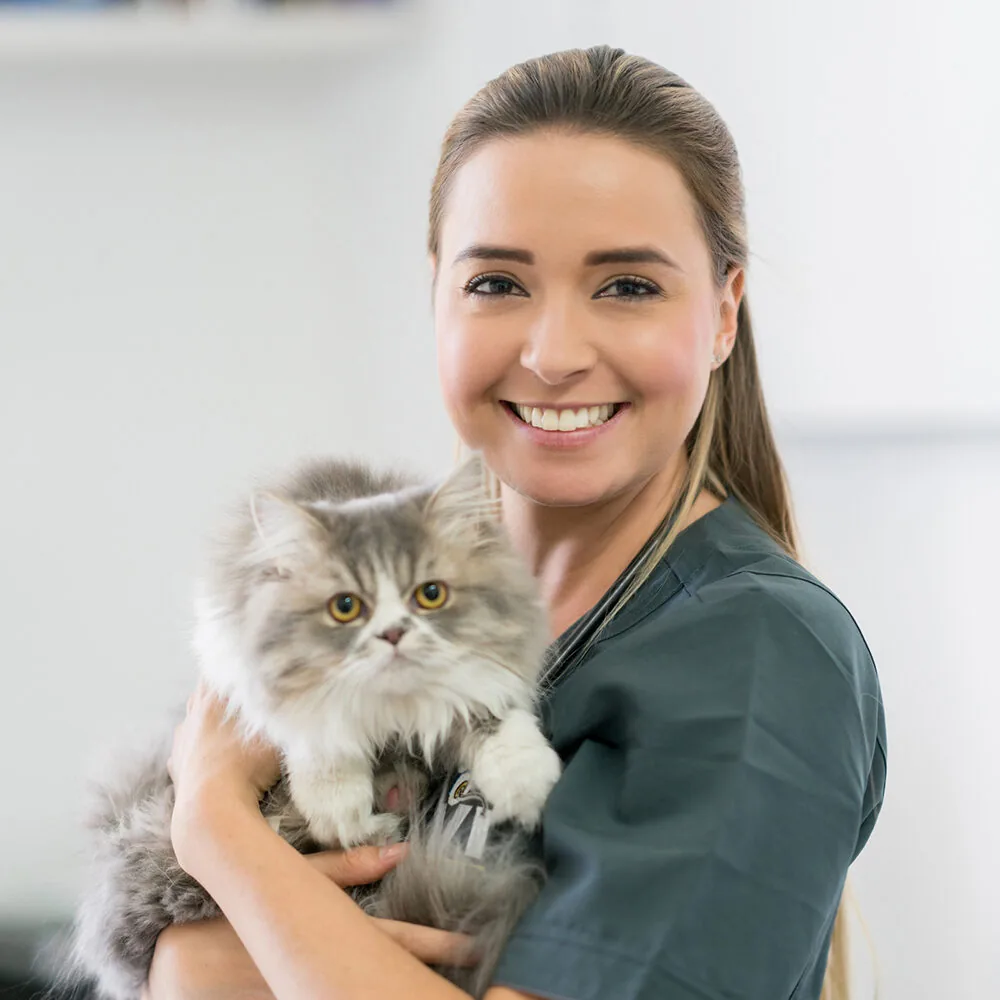 Female Vet Holding Fluffy Cat Female Vet Holding Fluffy Cat