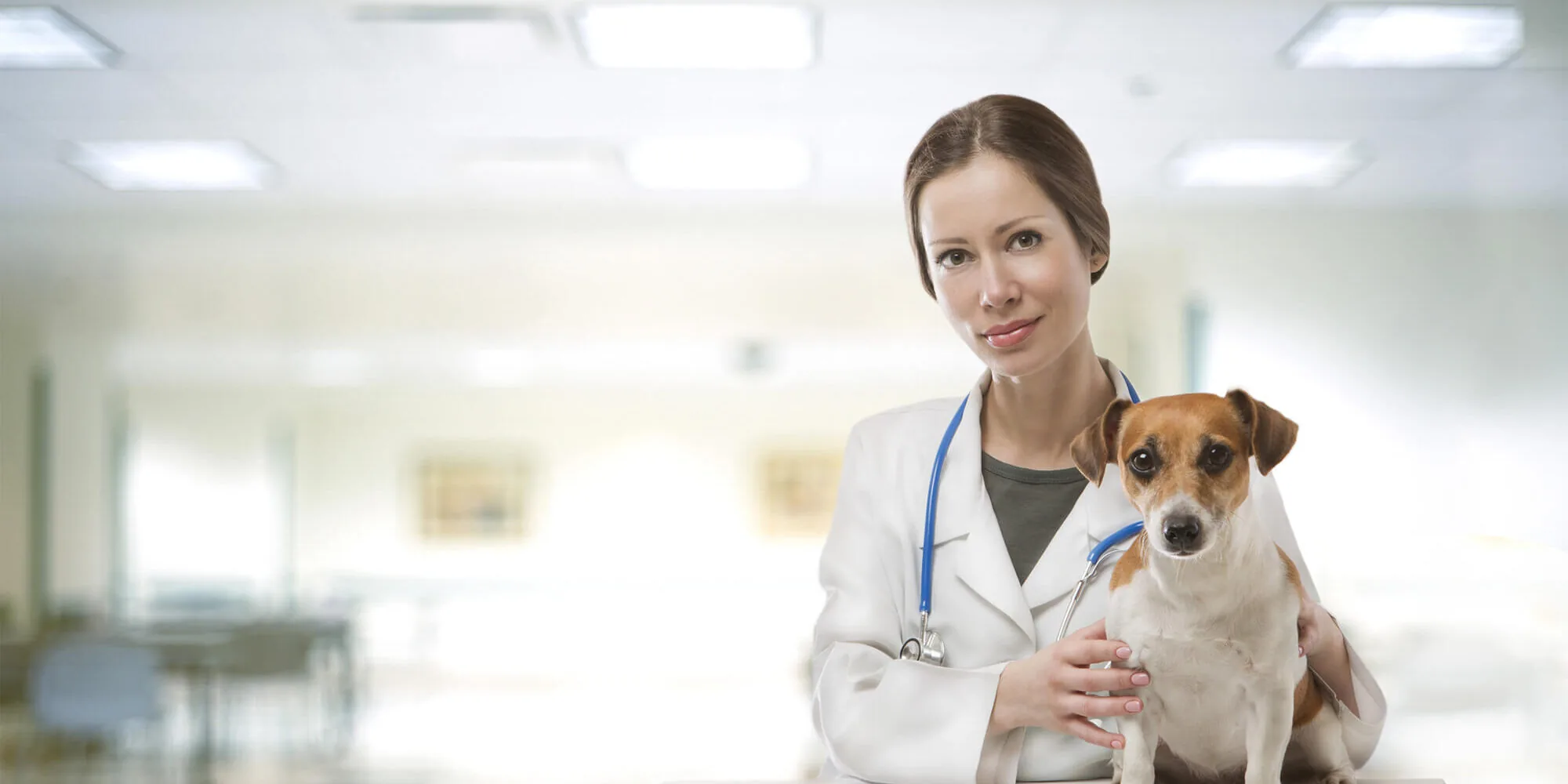 Female Vet In White Labcoat Female Vet In White Labcoat